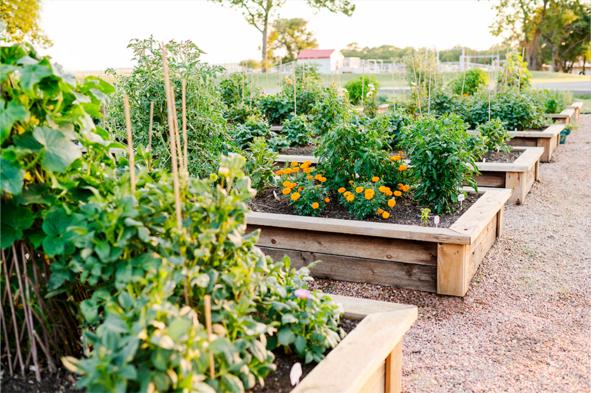 Creación y diseño de jardines en Mallorca